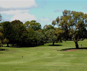 Cooma Golf Club - eAccommodation 1