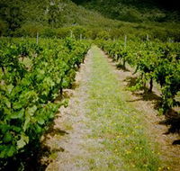 Gartelmann Wines - eAccommodation