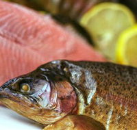 Lovedale Smokehouse Gourmet Pantry Cafe and Masterclasses - eAccommodation
