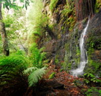 Fairy Bower Falls - eAccommodation