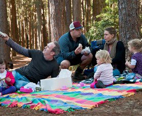 State Forests Of The Watagan Mountains - eAccommodation 0