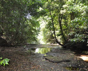 State Forests Of The Watagan Mountains - eAccommodation 1