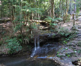 State Forests Of The Watagan Mountains - eAccommodation 3