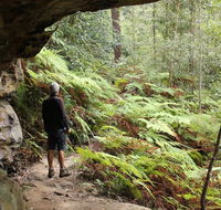 Dharug National Park - eAccommodation