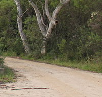 Riverview walking track - eAccommodation
