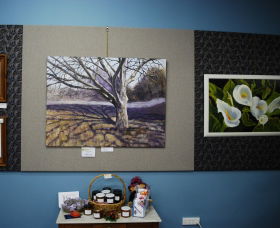 Monaro Art Groups Little Gallery - eAccommodation 0