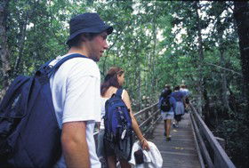 Stanmore QLD eAccommodation