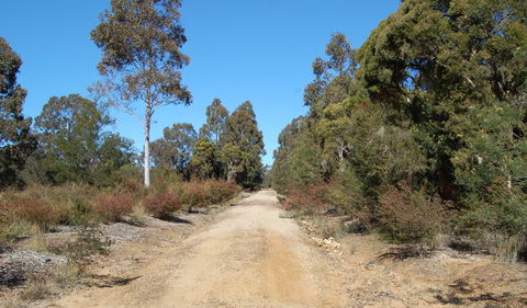 Werakata National Park - eAccommodation 0