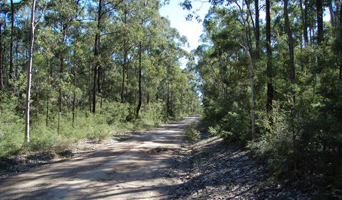 Werakata National Park - eAccommodation 2