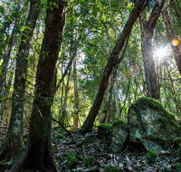 Copeland Tops State Conservation Area - eAccommodation