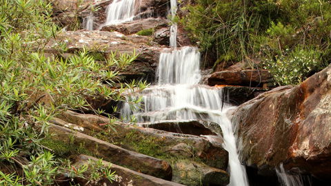 Popran National Park - eAccommodation 1