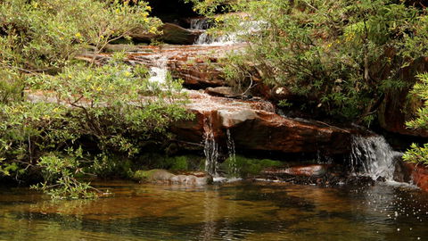 Popran National Park - eAccommodation 2
