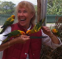 Maleny Botanic Gardens  Bird World - eAccommodation