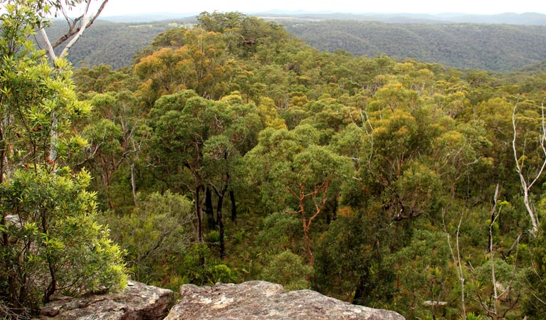 Mangrove Mountain NSW eAccommodation