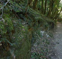 Hidden Treasure track - eAccommodation