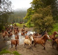 Glenworth Valley Horse Riding - eAccommodation