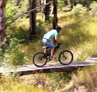 The Steps Mountain Bike Park - eAccommodation