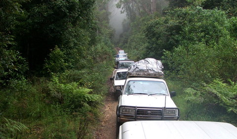 Carrai National Park - eAccommodation 3