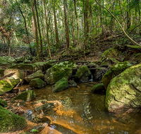 Palm Grove Nature Reserve - eAccommodation