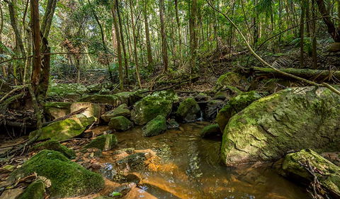 Palm Grove Nature Reserve - eAccommodation 0