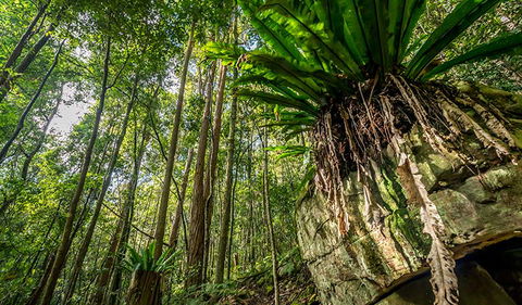 Palm Grove Nature Reserve - eAccommodation 1