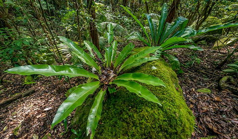 Palm Grove Nature Reserve - eAccommodation 2
