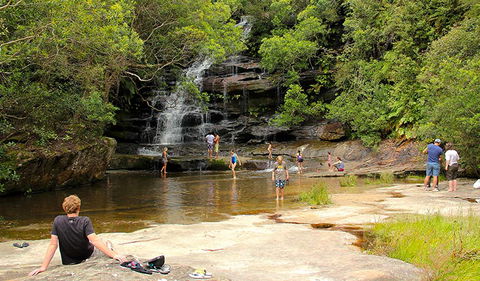 Somersby Falls Picnic Area - eAccommodation 0