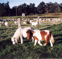 Trudgalong Farm - eAccommodation