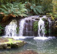 Barrington Tops National Park Walks - eAccommodation
