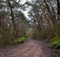 Budawang National Park - eAccommodation
