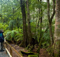 Monga National Park - eAccommodation