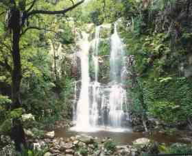 Budderoo National Park - The Falls Walk - eAccommodation 0