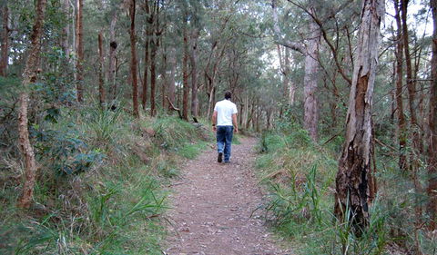 Lake Macquarie State Conservation Area - eAccommodation 3