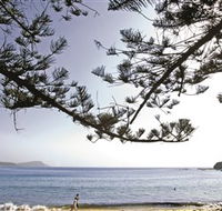 Terrigal Beach - eAccommodation