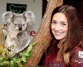 New Lambton NSW eAccommodation