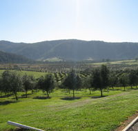 Hastings Valley Olives - eAccommodation