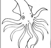Squid Studio - eAccommodation