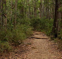 Pigeon House Mountain Didthul walking track - eAccommodation