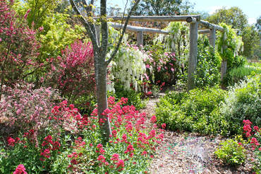 Ivy Hill Gallery - eAccommodation 6