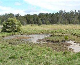 Boondall Wetlands Reserve - eAccommodation 1