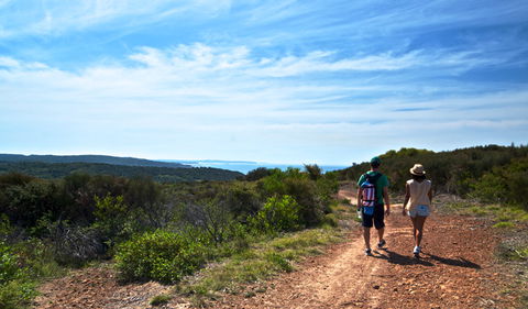 Moonee Beach Trail - eAccommodation 0