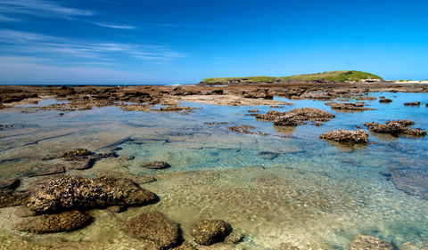 Moonee Beach Trail - eAccommodation 2