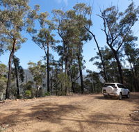 Wadbilliga Road drive - eAccommodation
