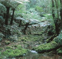The Corn Trail Walk - eAccommodation