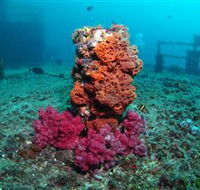 HMAS Brisbane Dive Site - eAccommodation