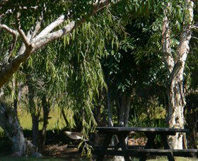 Lower Dyraaba NSW eAccommodation