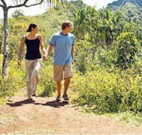 Hoddles Track - eAccommodation