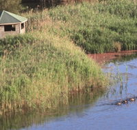 Spring Creek Bird Hide - eAccommodation
