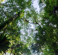 Botanic walk - eAccommodation