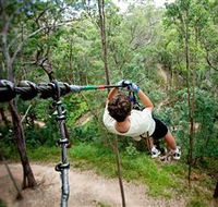 TreeTop Challenge - eAccommodation